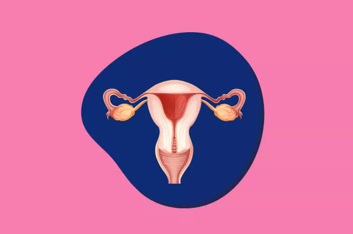 Gejala Mioma Uteri (sumber: halodoc.com)